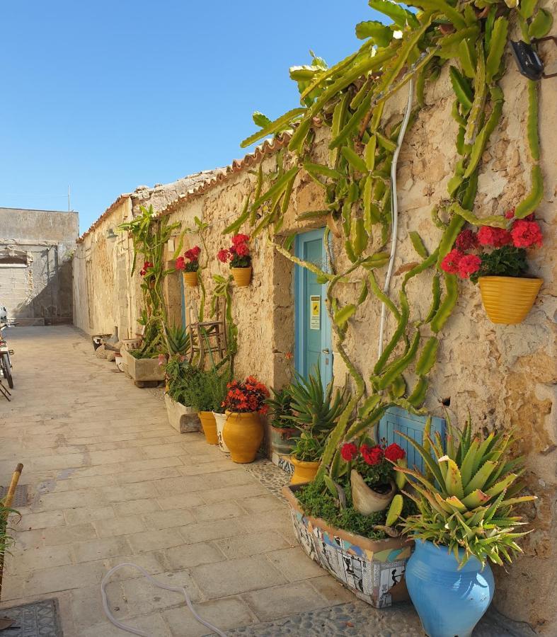 פקינו B&B La Rosa מראה חיצוני תמונה